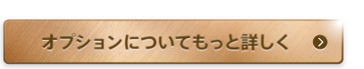 オプションについてもっと詳しく